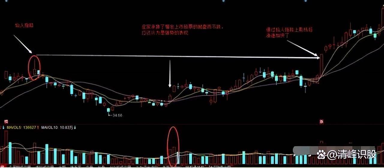 炒股成功的人有多可怕？写给两亿股民看完如梦初醒