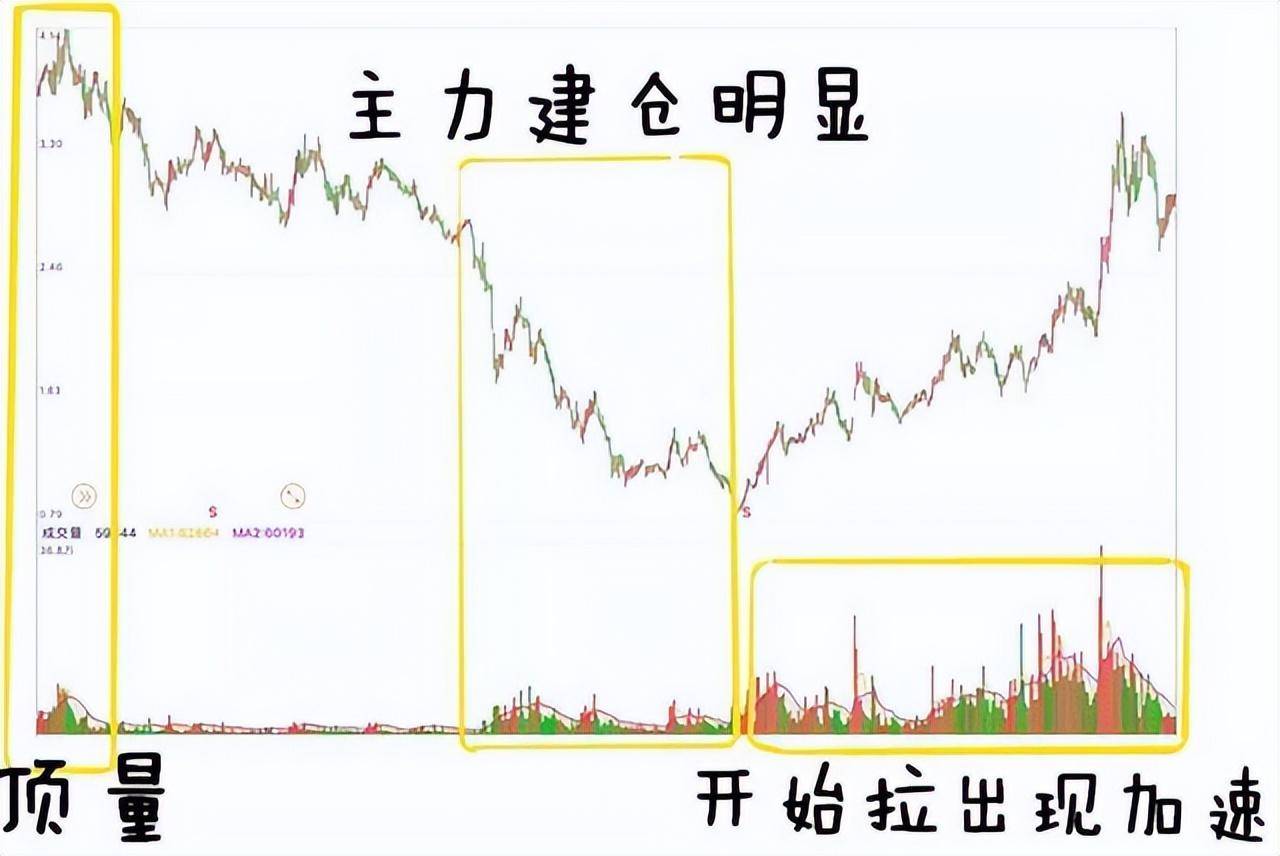 新老股民必读！读懂量价你将赚到怀疑人生！睡不着多看看