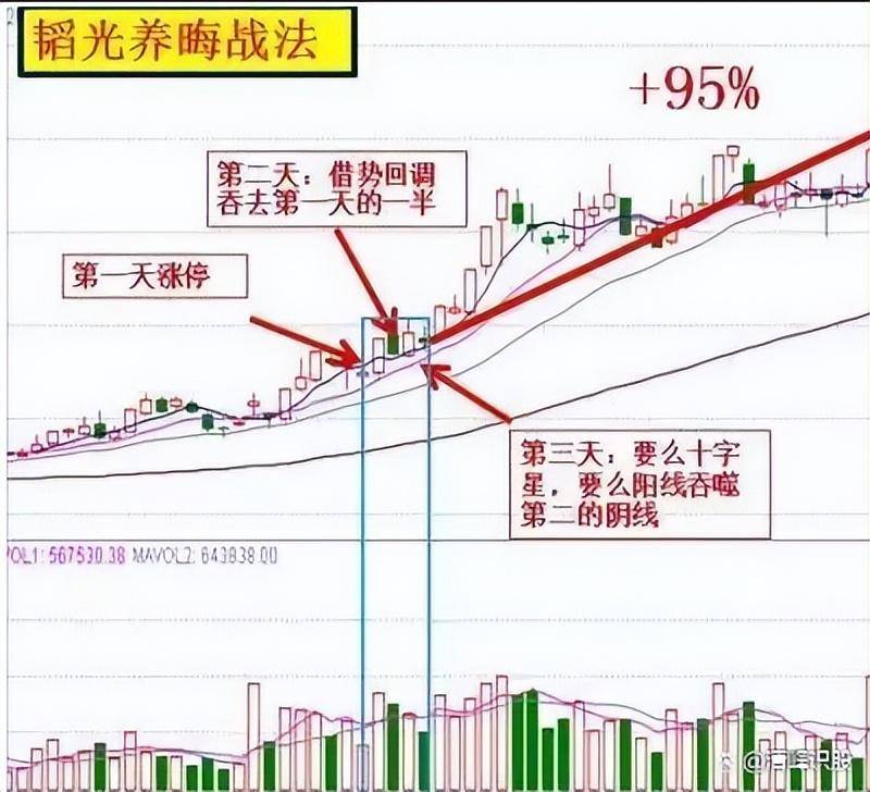 炒股赚钱的定律你知道吗？教你用最笨的办法赚中国股市的钱！