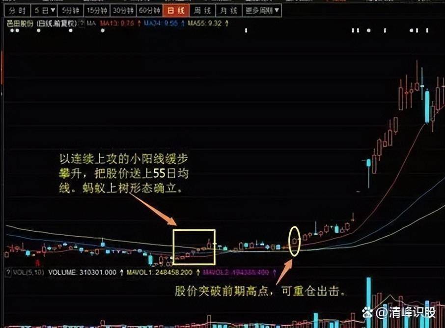 炒股赚钱的定律你知道吗？教你用最笨的办法赚中国股市的钱！