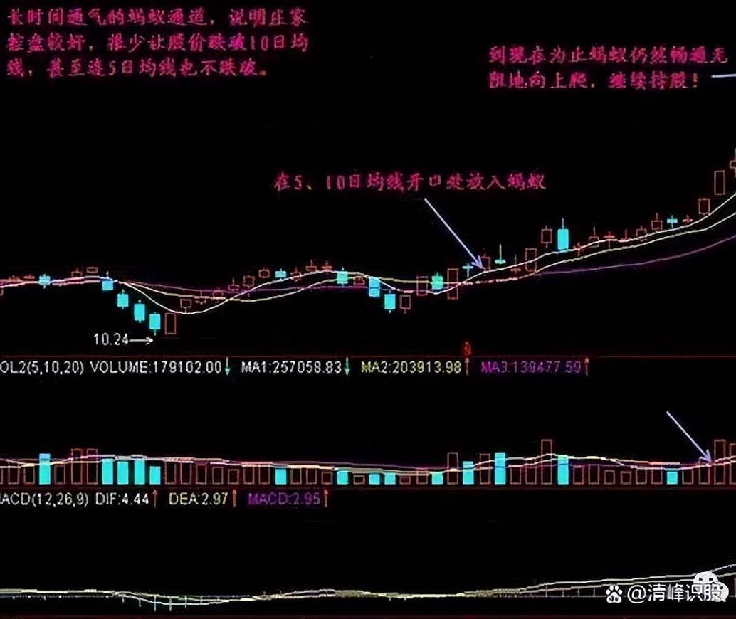 炒股赚钱的定律你知道吗？教你用最笨的办法赚中国股市的钱！