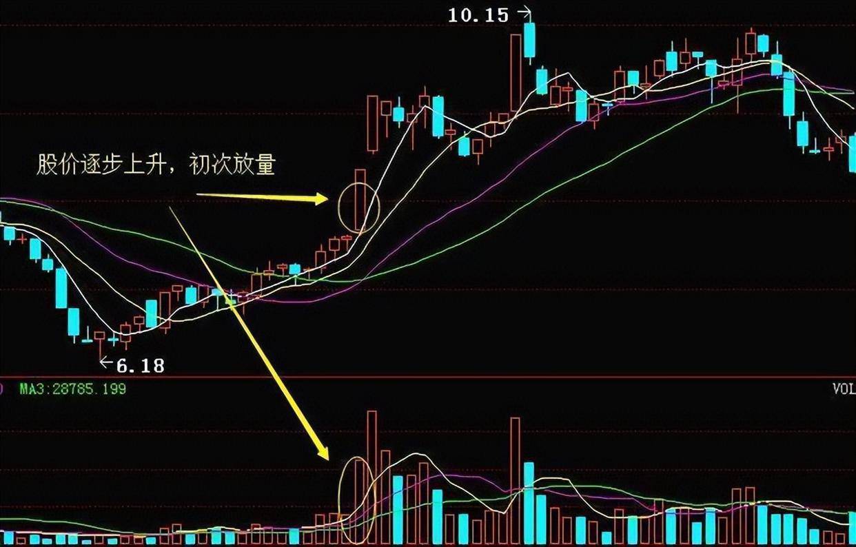 炒股主要靠运气还是实力？