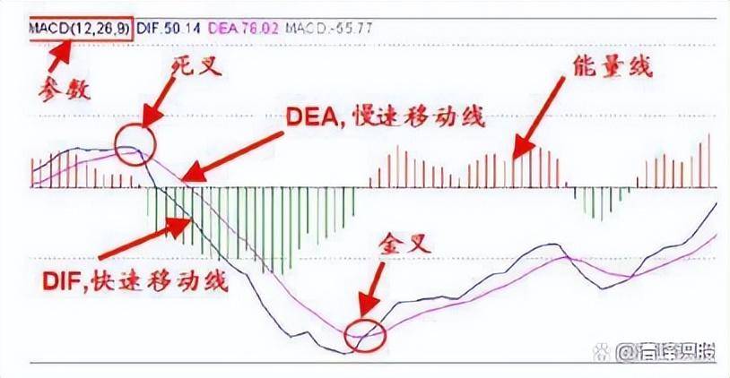 上海传奇股神自爆炒股秘诀入市挣3个亿！捕捉精准从未失手！