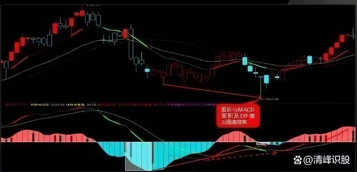 上海传奇股神自爆炒股秘诀入市挣3个亿！捕捉精准从未失手！