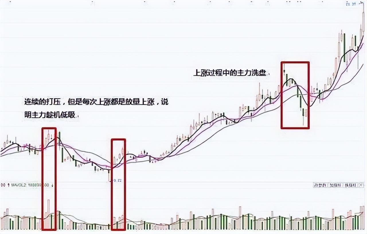 炒股真的能发家致富吗？散户的成功秘诀也是实现财富自由的根本