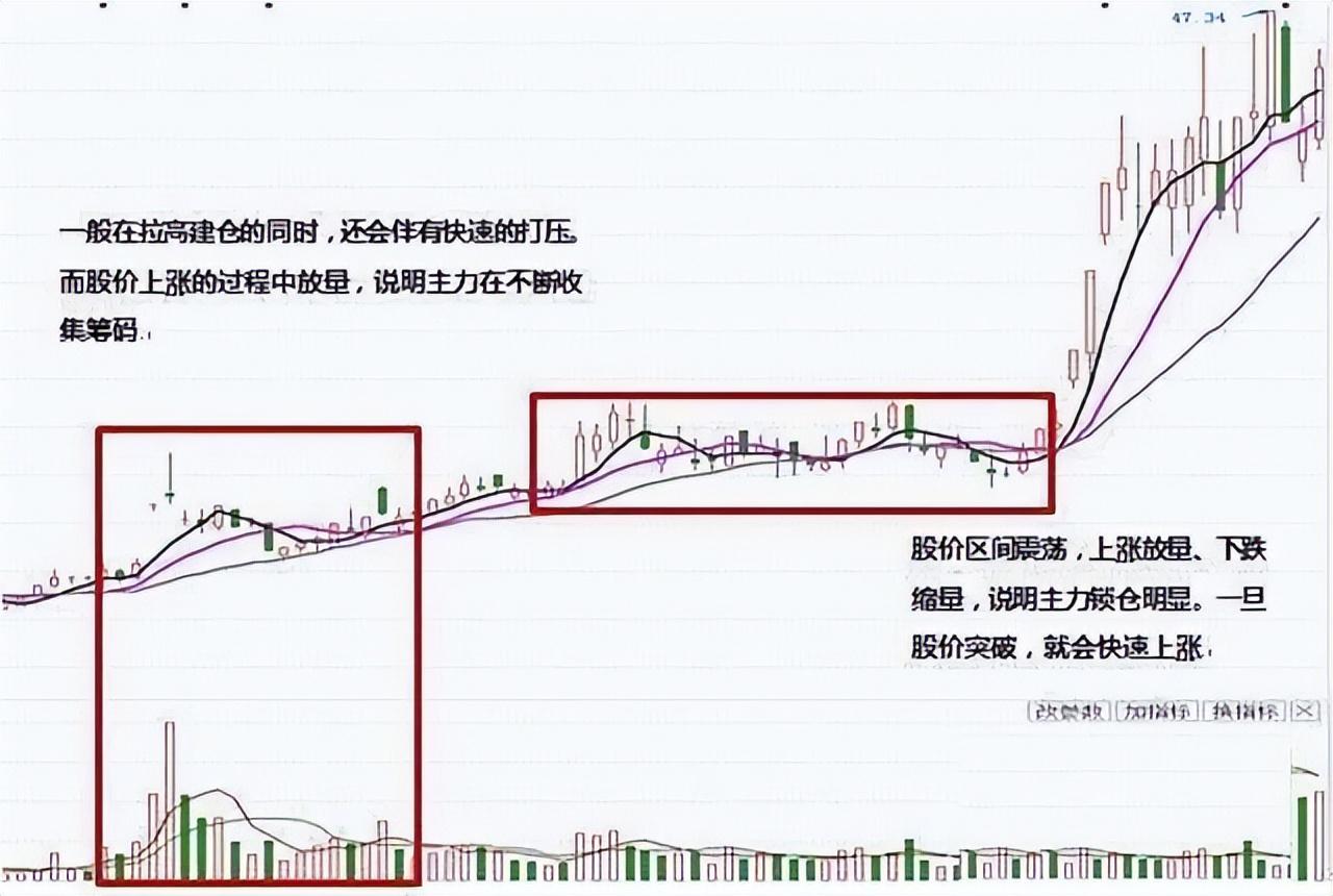 炒股真的能发家致富吗？散户的成功秘诀也是实现财富自由的根本