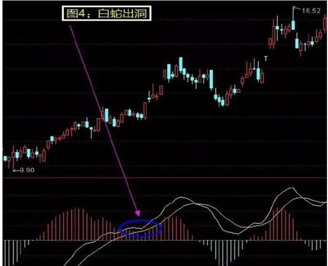 从2万赚到2000万你要做对什么？散户怎么从股市赚钱太透彻了