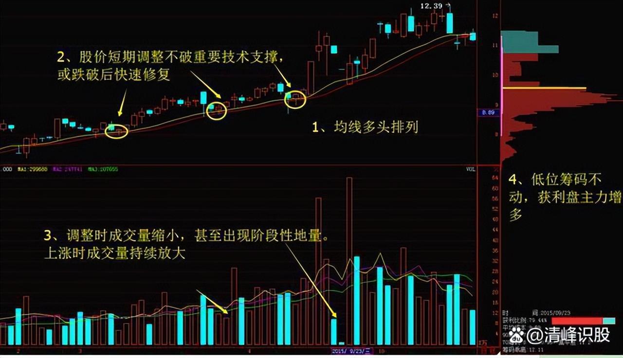 散户如何从万千股中选出下只黑马股股神教你这项办法太简单了！