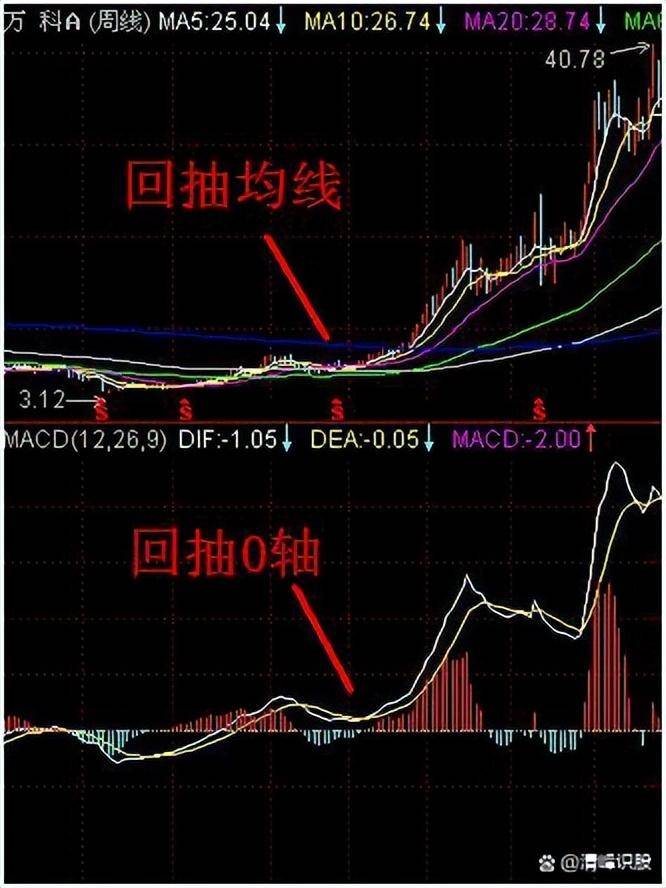 有散户从中国股市上赚钱了吗？看完瞬间清醒炒股真的有方法！