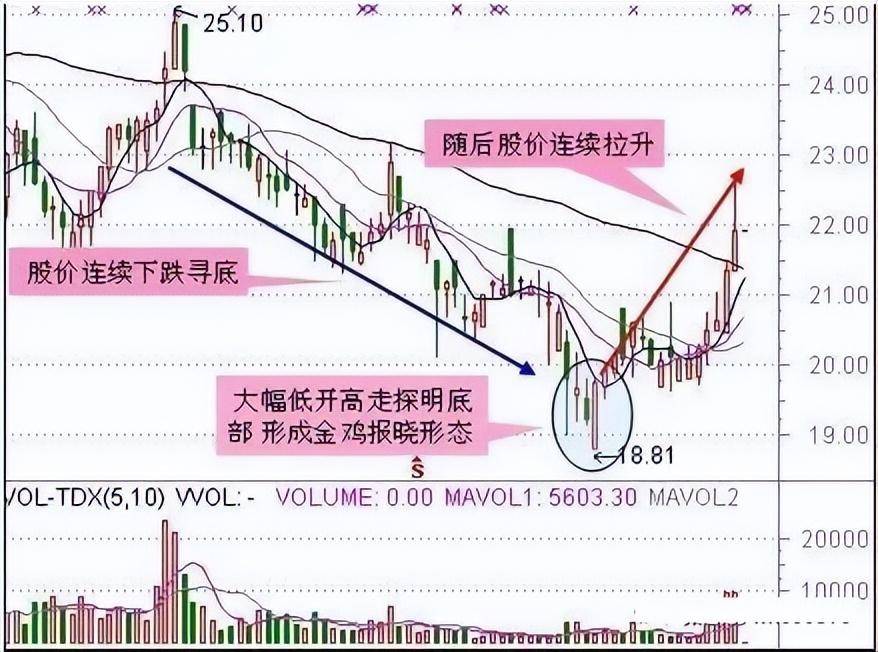 为什么90以上散户都在亏钱？写给两亿迷茫的股民别再错下去了