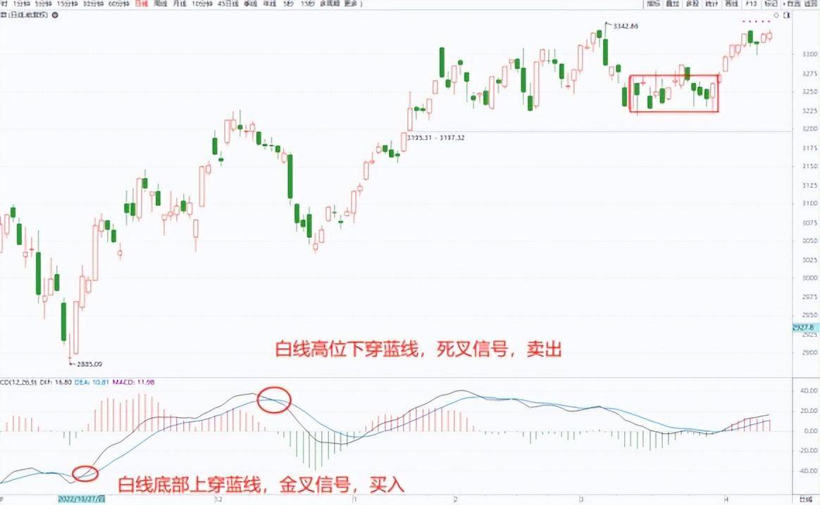 上海传奇股神自爆炒股方法学会MACD出手即主升浪入市挣30亿