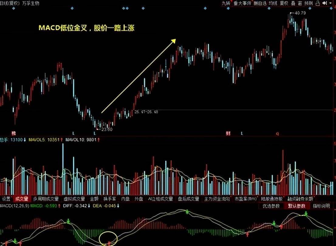 上海传奇股神自爆炒股方法学会MACD出手即主升浪入市挣30亿