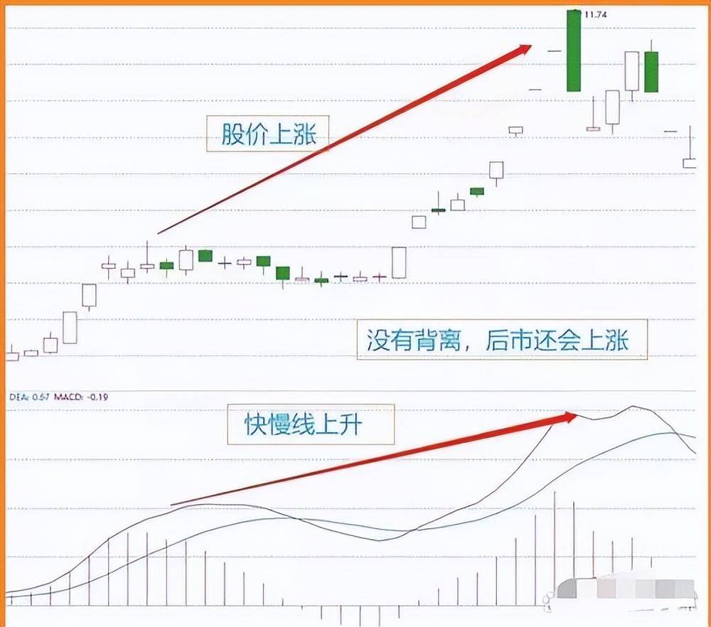 给新股民的建议第一本书第一个老师很重要刺耳但很实用
