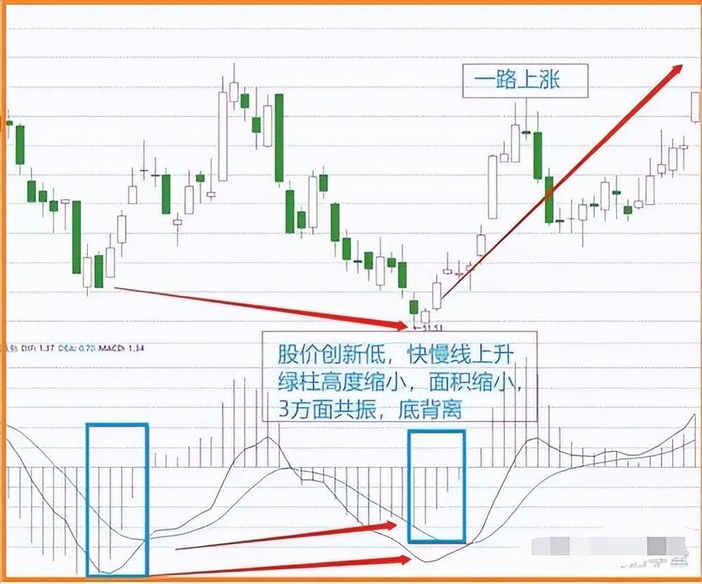 给新股民的建议第一本书第一个老师很重要刺耳但很实用
