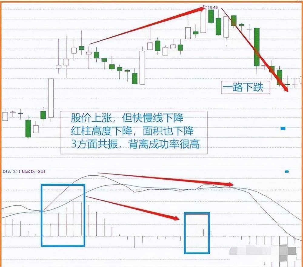 给新股民的建议第一本书第一个老师很重要刺耳但很实用