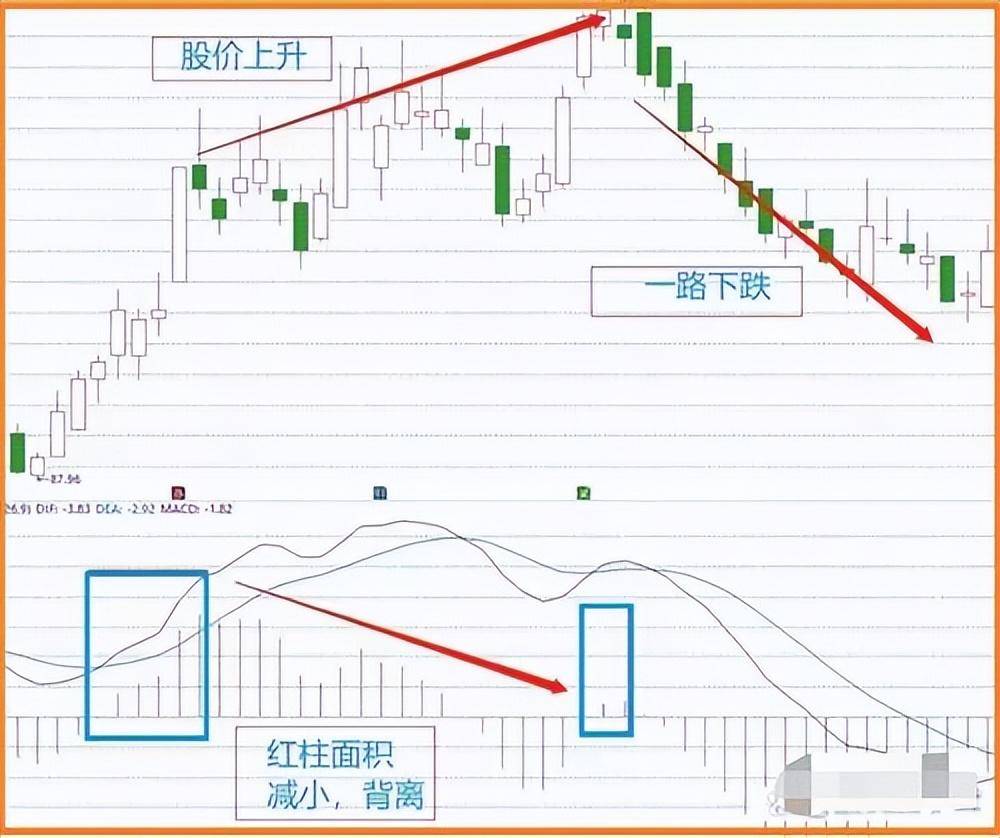 给新股民的建议第一本书第一个老师很重要刺耳但很实用