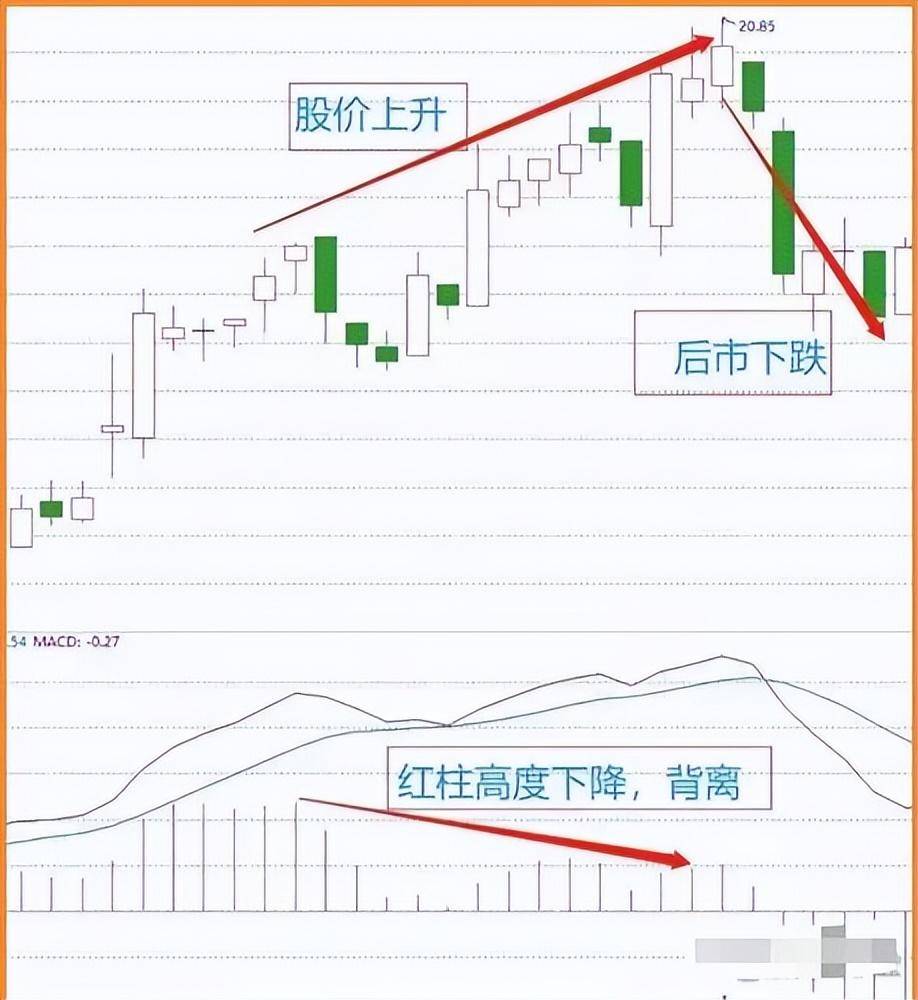 给新股民的建议第一本书第一个老师很重要刺耳但很实用
