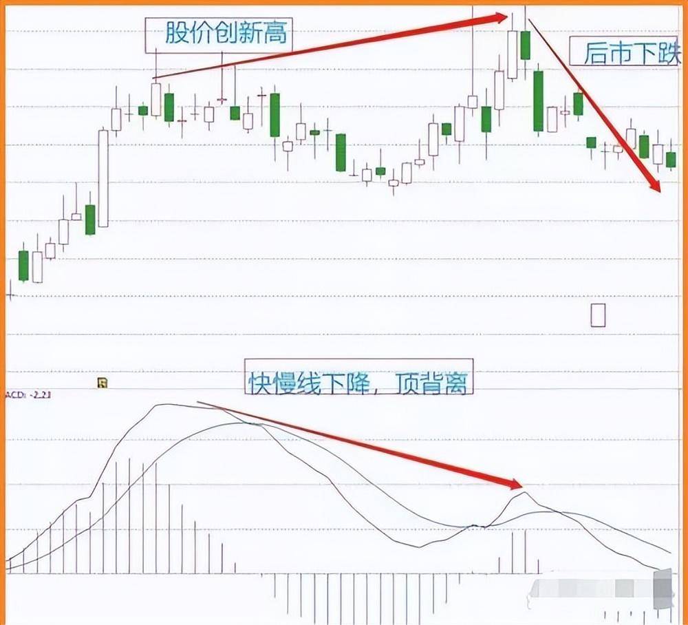 给新股民的建议第一本书第一个老师很重要刺耳但很实用
