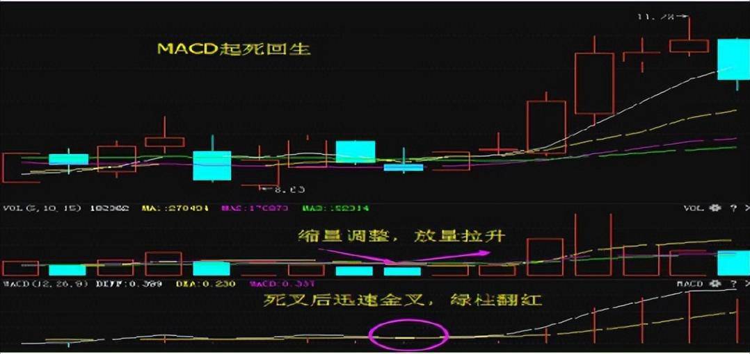 股市中赚100万最笨的方法牢记MACD买小卖小缩头缩脚