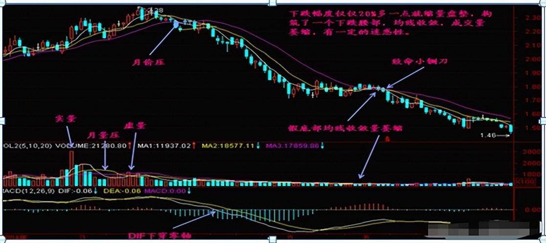 一个人炒股到最后会悟道吗？做一个安静的投资者很短很深