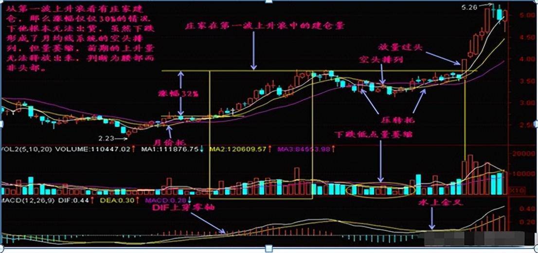 一个人炒股到最后会悟道吗？做一个安静的投资者很短很深