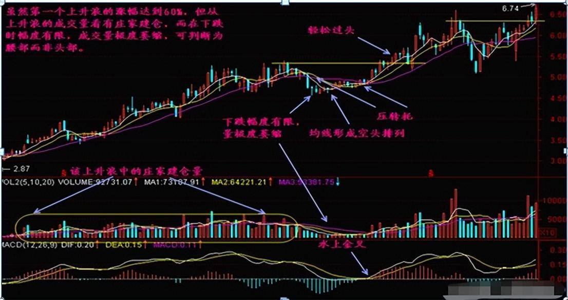 一个人炒股到最后会悟道吗？做一个安静的投资者很短很深