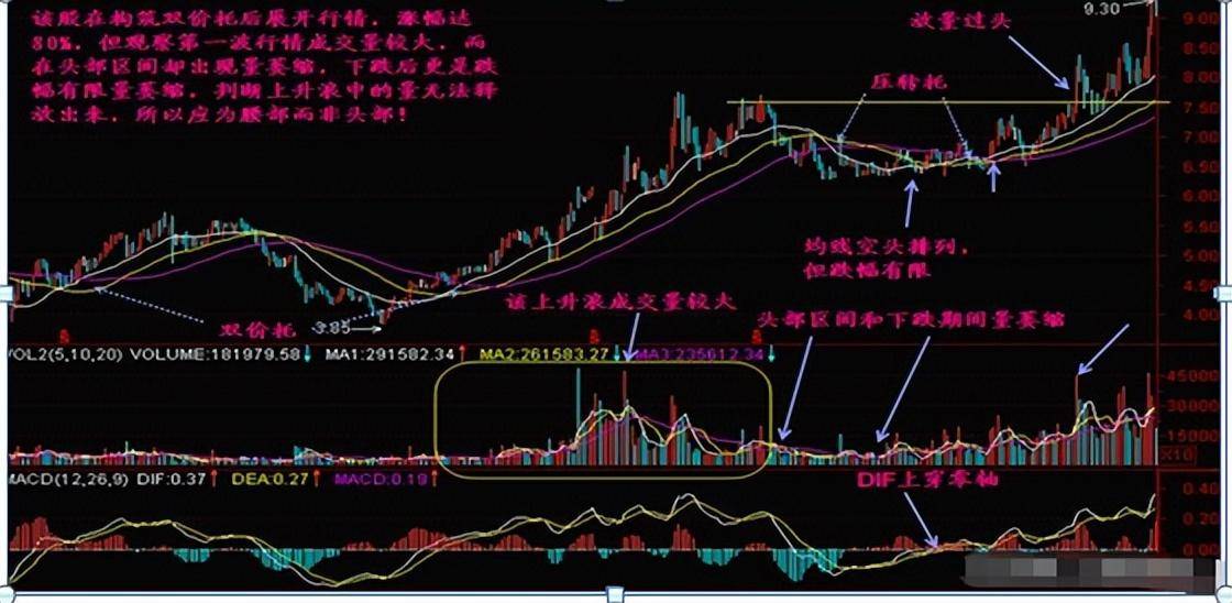一个人炒股到最后会悟道吗？做一个安静的投资者很短很深