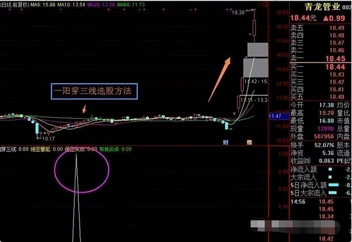 炒股为什么这么难？十五年老股民写给正在亏损的散户精辟文章！