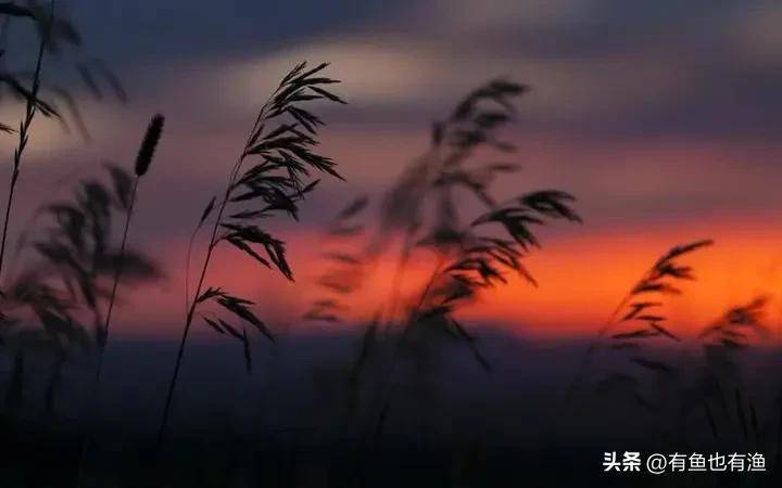 普通人真的不适合买股票吗？从大负到大富分享些经验给散户们！