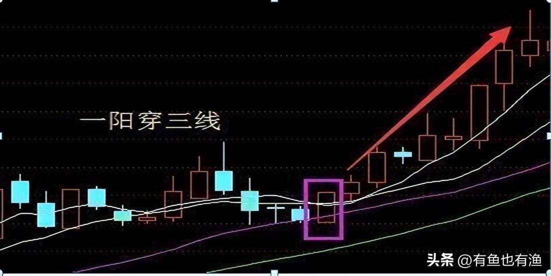有散户从中国股市赚钱了吗？还在迷茫的股民们读十遍大彻大悟！