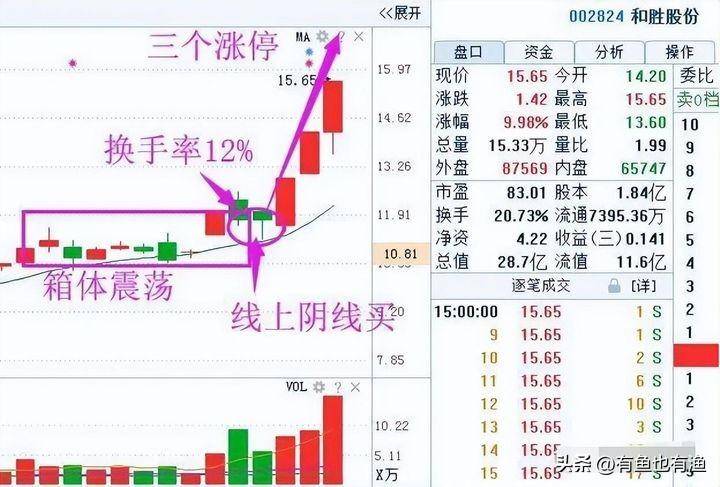中国股市真正赚钱的一种人日内交易八式黄金口诀稳赚不赔