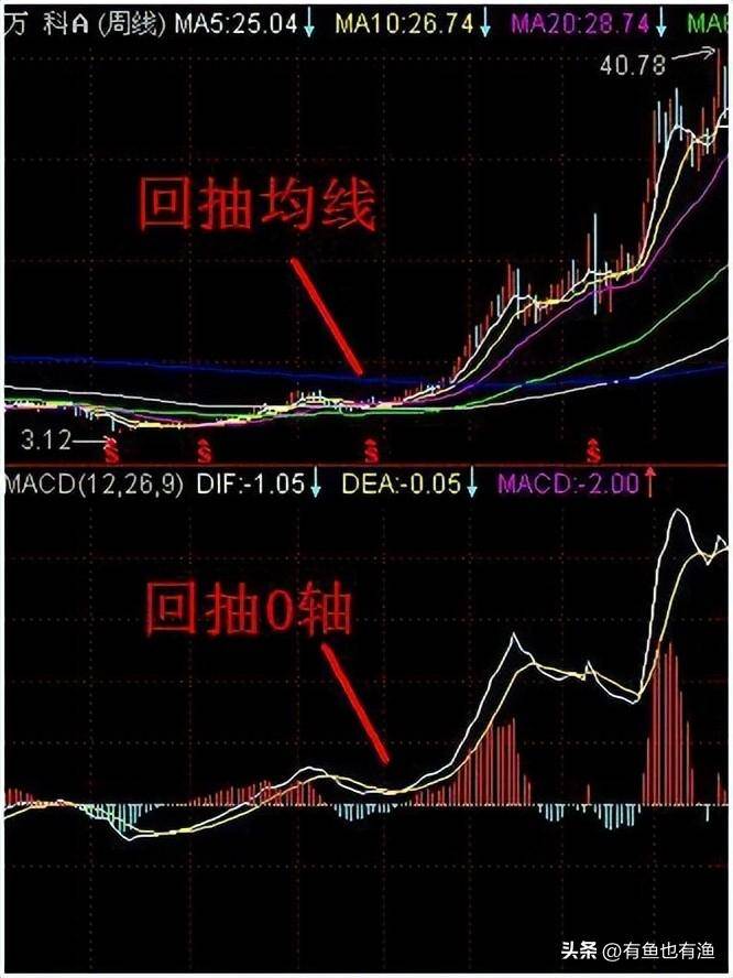 炒股一定要靠技术吗？别人不起眼的F10让我持续盈利十年！