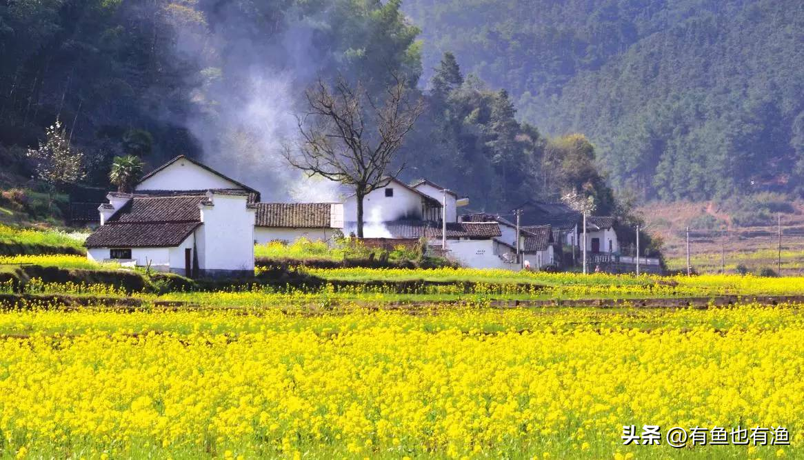 中国股市炒股的尽头是什么？此文很短很深但是很值得细品！