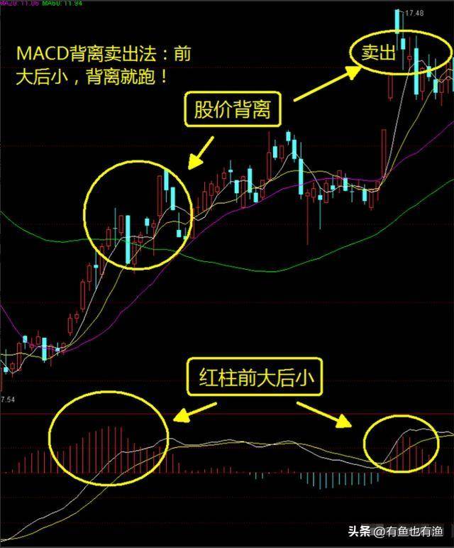 炒股为什么这么难？得道老股民写给正在亏损的散户看完如梦初醒