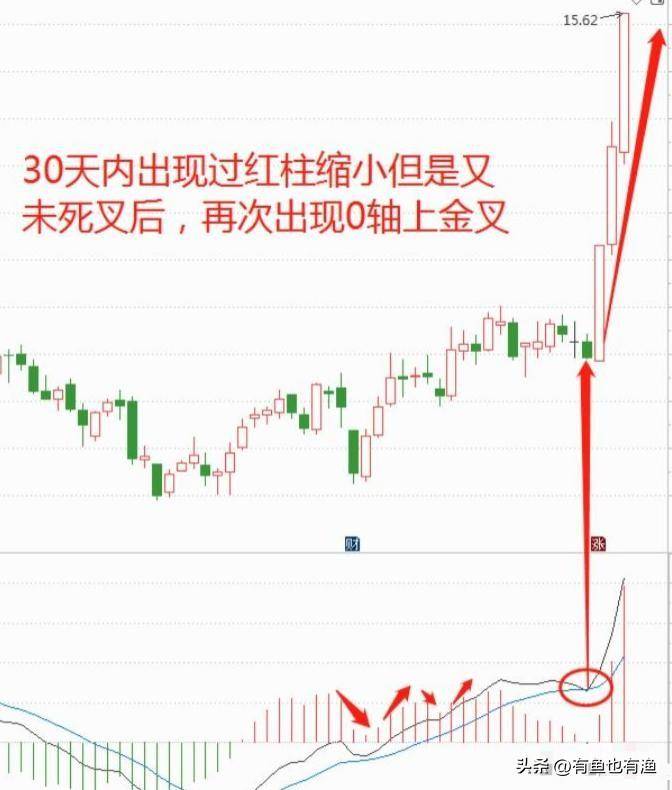 炒股有一个最笨的方法只用一个指标炒股却能让你轻松吃肉！