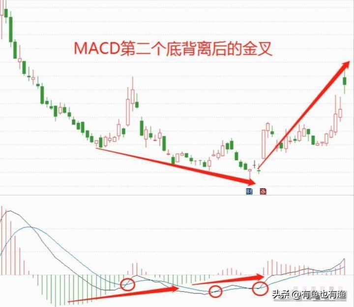 炒股有一个最笨的方法只用一个指标炒股却能让你轻松吃肉！
