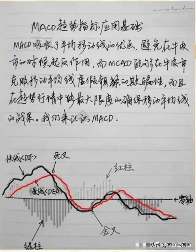 炒股有一个最笨的方法只用一个指标炒股却能让你轻松吃肉！