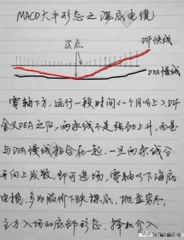 炒股有一个最笨的方法只用一个指标炒股却能让你轻松吃肉！