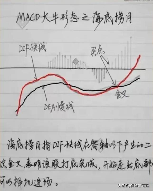 炒股有一个最笨的方法只用一个指标炒股却能让你轻松吃肉！