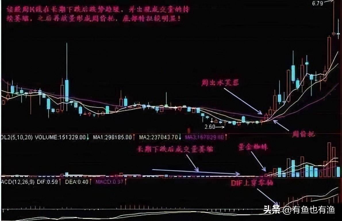 以交易为生是一种什么体验？此文值得散户反复阅读想明白在决定
