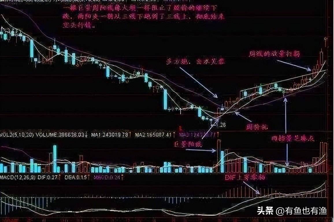 以交易为生是一种什么体验？此文值得散户反复阅读想明白在决定