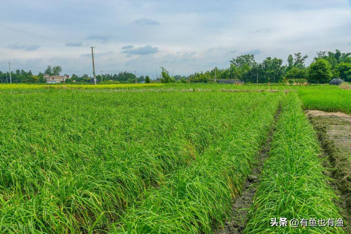散户忍不住哭了A股怎么了？深刻揭露A股游戏规则此文很短很深