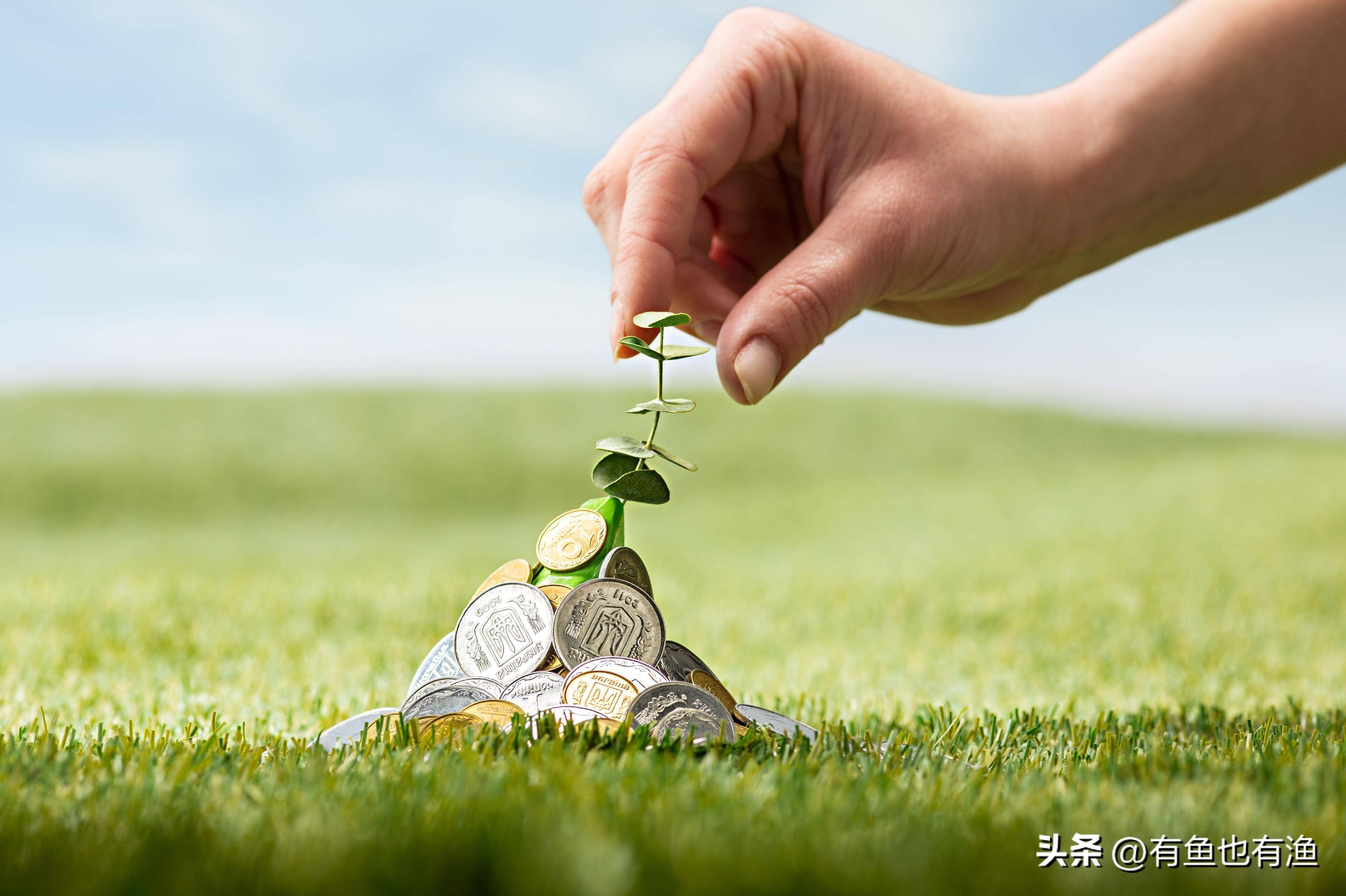 散户忍不住哭了A股怎么了？深刻揭露A股游戏规则此文很短很深