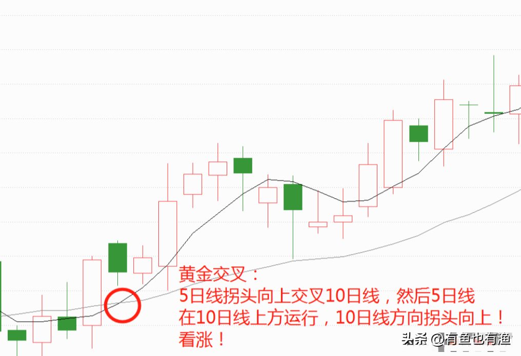 散户忍不住哭了A股怎么了？深刻揭露A股游戏规则此文很短很深