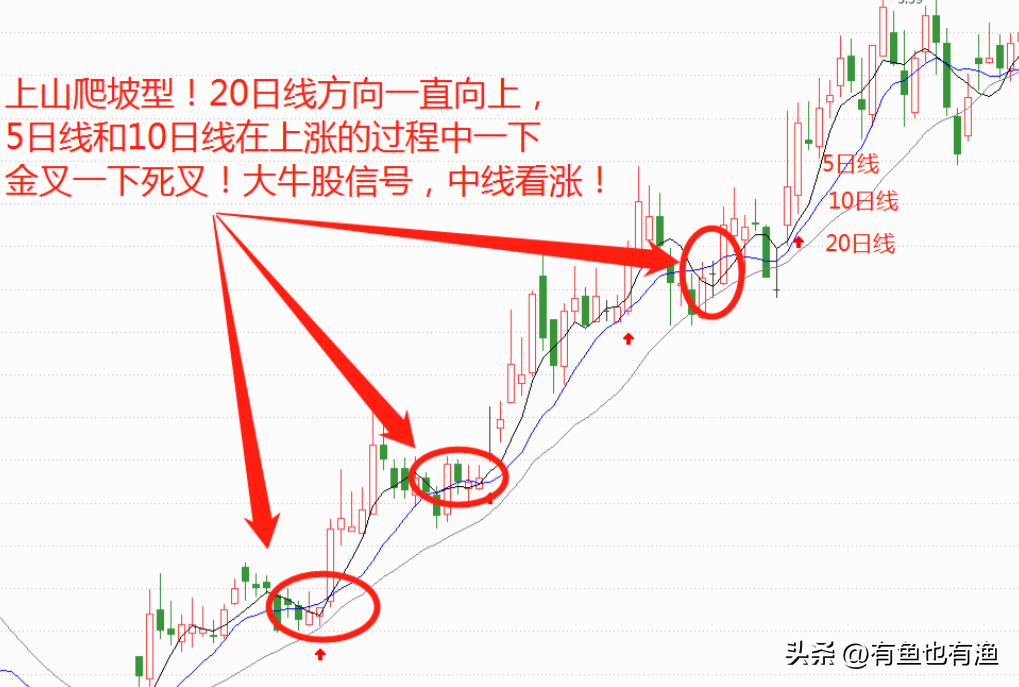 散户忍不住哭了A股怎么了？深刻揭露A股游戏规则此文很短很深