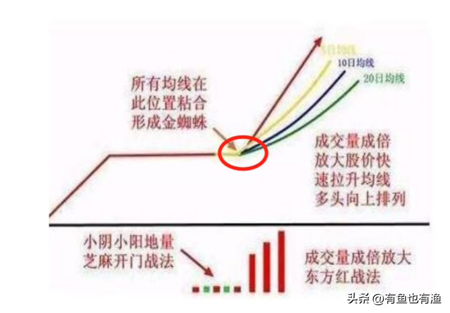 散户忍不住哭了A股怎么了？深刻揭露A股游戏规则此文很短很深