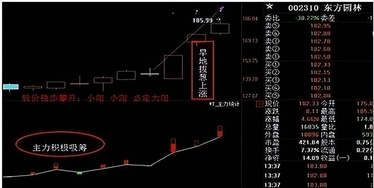 中国股市一旦遇到这些形态清仓！看懂股市庄家操盘手法