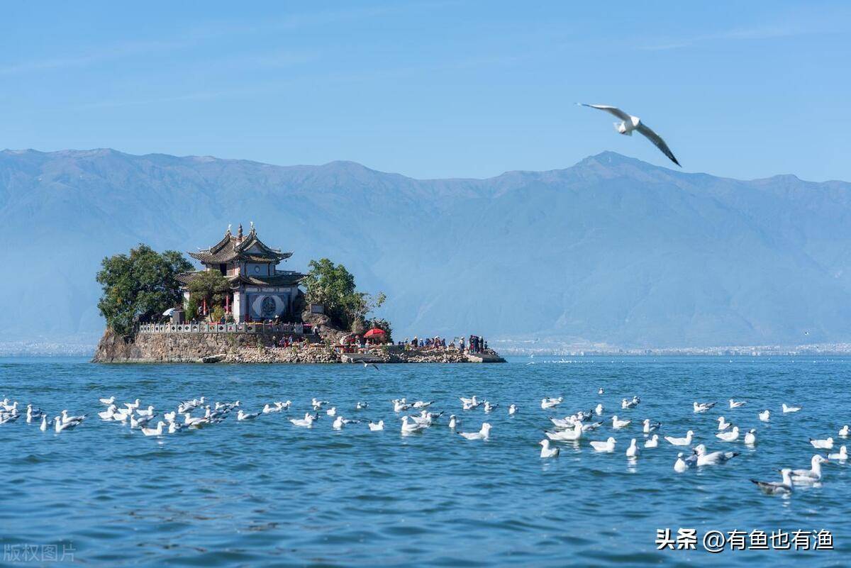 一位亏损百万老股民的忠告做短线坚决二不碰一碰就剁手！