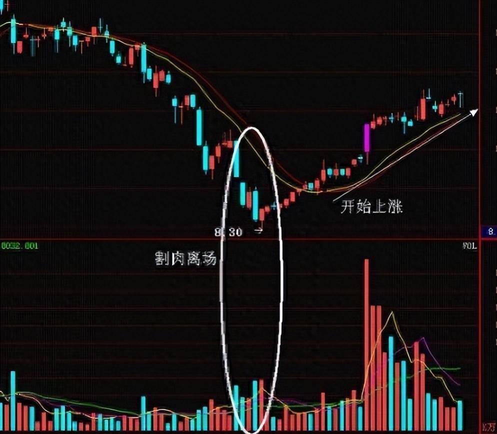 股神自研成交量选股技巧炒股3年20万赚到1千万建议珍藏