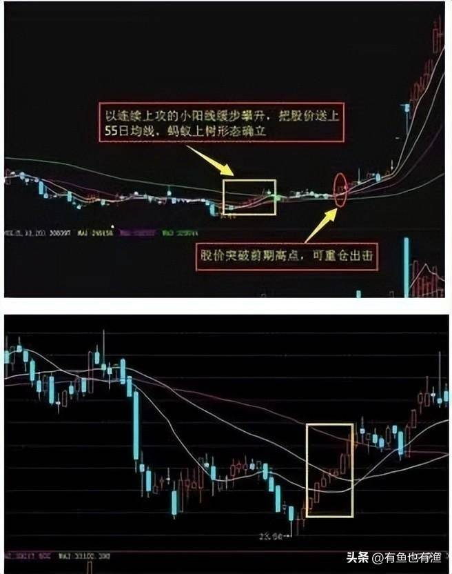 如果你决心一辈子炒股并把它当作第一职业本文将是你的垫脚石